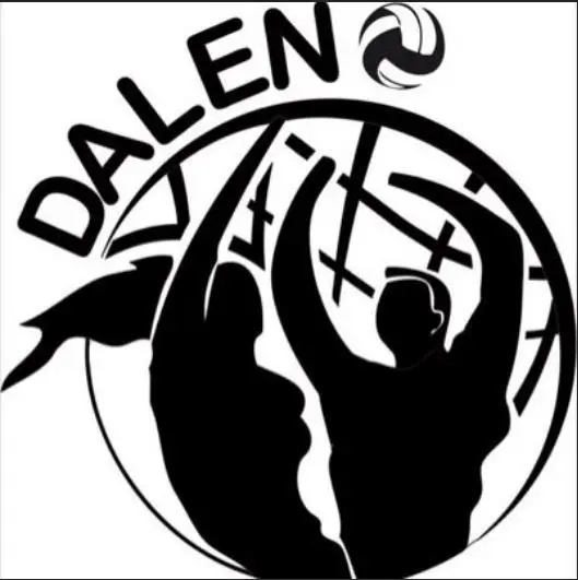 Volleybal Dalen.jpg