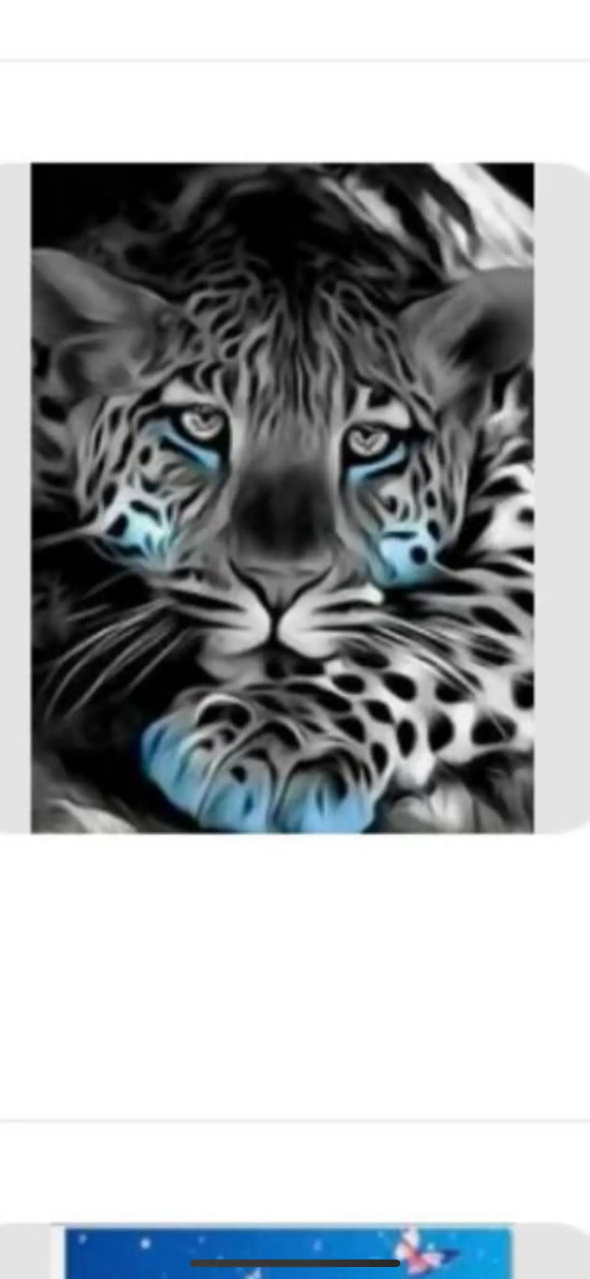 IMG_0535.png